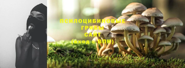 экстази Дмитриев