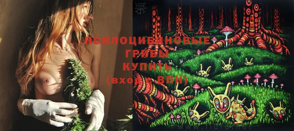 экстази Дмитриев