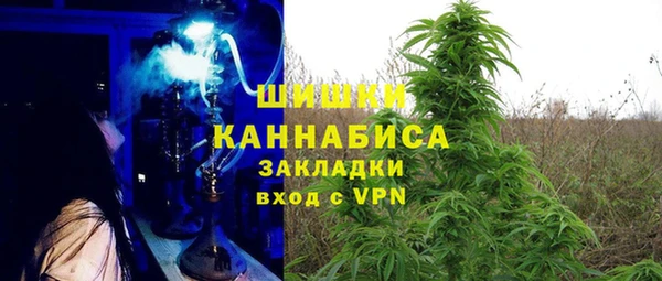 ПСИЛОЦИБИНОВЫЕ ГРИБЫ Дмитровск