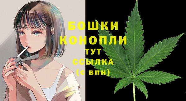 ПСИЛОЦИБИНОВЫЕ ГРИБЫ Дмитровск