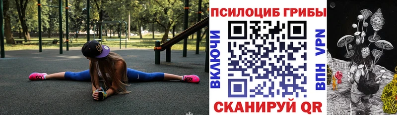 купить  сайты  Иваново  Псилоцибиновые грибы Psilocybe 